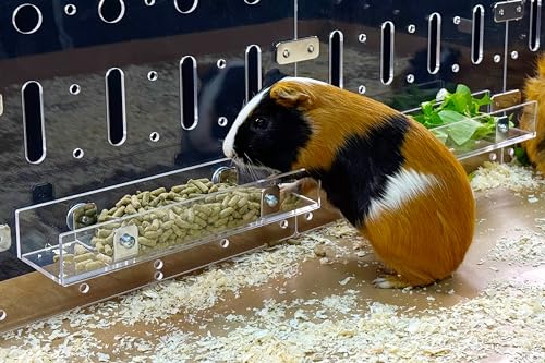 GuineaLoft™ Futterspender – Verabschieden Sie Sich von traditionellen Schüsseln! Der ultimative Futterspender für kleine Haustiere wie Meerschweinchen, Kaninchen und Chinchillas. von GuineaLoft