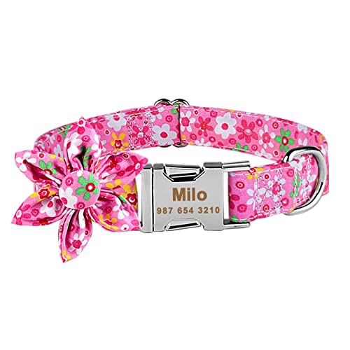 Einstellbares Nylon Graviertes Personalisiertes Hundehalsband Pitbull Small Large Medium Pet Collars Benutzerdefinierter Name Typenschild Hundehalsband,Pink,M von Gulunmun