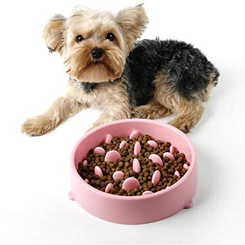 Fressnäpfe Für Hunde Fressnäpfe Für Katzen Haustier Hundefutter Feed Darm Feeder Kätzchen Wellenmuster Katze Schüssel Gesunde Kitty Interaktive Langsam Anti Slip Dish @ Pink von Gulunmun