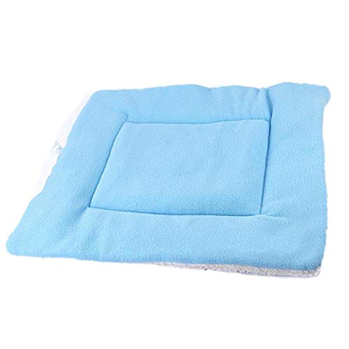 Gulunmun Betten & Sofas Für Katzen Hundebetten Warme Weiche Fleece Hundebetten Candy Farbe Warm Pet Blanket Puppy Cat Schlafbetten Cover Kissen Für Kleine, Mittlere Hunde von Gulunmun