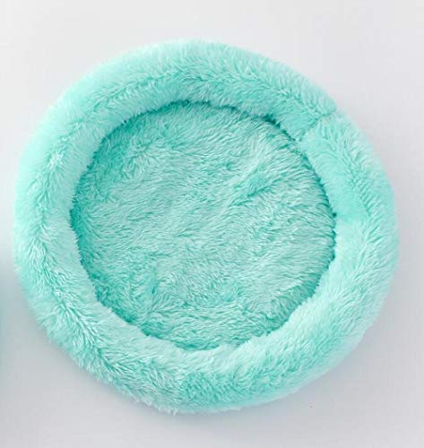 Gulunmun Hamster Nest Pad Samt Warm Pet Nest Baumwollkissen Hamster Igel Chinchilla Kaninchen Haustier Bett 5 Farben S/L Tierbedarf-Blue_S von Gulunmun