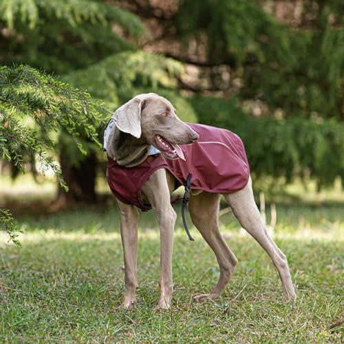 Gulunmun Hunde-Regenmantel,Wasserdicht,Kapuzenjacke,Regenponcho,Haustier-Regenbekleidung,Kleidung Mit Reflektierenden Streifen,Outdoor-Hunde-Regenmantel-Zubehör,Dunkelrot,L von Gulunmun