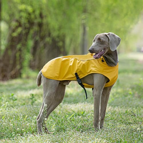 Gulunmun Hunde-Regenmantel,Wasserdicht,Kapuzenjacke,Regenponcho,Haustier-Regenbekleidung,Kleidung Mit Reflektierenden Streifen,Outdoor-Hunde-Regenmantel-Zubehör,Gold,XL von Gulunmun