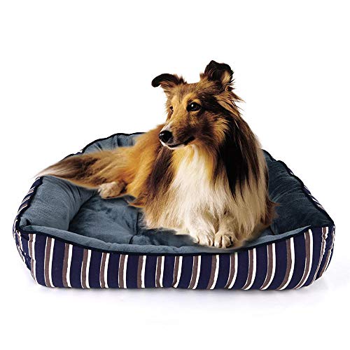 Gulunmun Hundebett Haustier Hundebett Bank Zwinger für kleine mittelgroße Hunde Haustierbetten für Hunde Katzenhausmatte Welpenbett Sofa Haustierliege Produkte-Navy_and_Gray_L_70x60x20_cm von Gulunmun