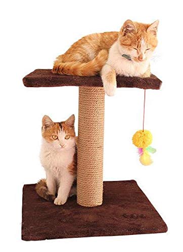 Haustier Spielzeug Für Katzen klettergerüst Kratzbaum Spielzeug Kratzkissen Katzenkratzspielzeug Springplatte Katze House-Coffee_36X36X38CM von Gulunmun