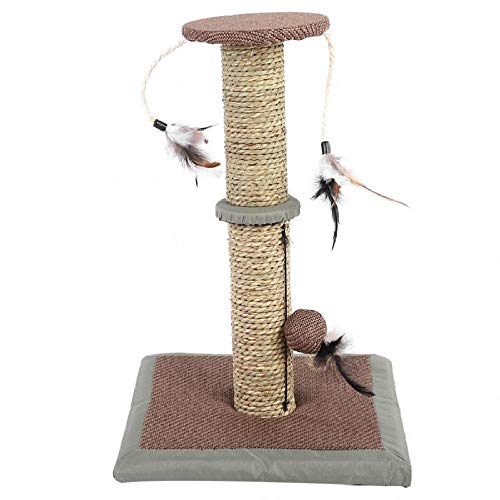 Kratzbaum Kätzchen Klettern Kauen Scratcher Pet Climber Spielzeug Pet Products-L von Gulunmun