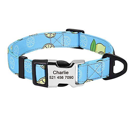 Nylon Hundehalsband Personazlied Pet ID Tag Halsband Gedruckte Customized Dog Cat Halsbänder für kleine mittelgroße Hunde SM L-159_Blue__L von Gulunmun