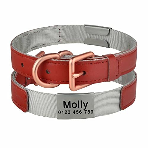 Personalisiertes Hundehalsband aus Nylon, groß, strapazierfähig, mit eingraviertem Namensschild, Hundehalsband, SML-Hundehalsband, Schicht gepolstert, rot, L 36-47 cm von Gulunmun