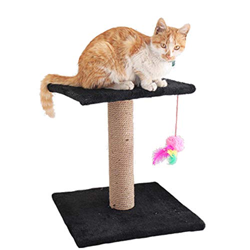 Pet Toys Für Katzen Klettergerüst Kratzbaumspielzeug Kratzkissen Katzenkratzspielzeug Springplatte Cat House-Black_36X36X38CM von Gulunmun