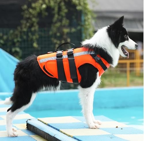 Reflektierende Schwimmweste Für Hunde,Sommer-Outdoor-Schwimmkleidung,Hunde-Schwimmweste,Sicherheitsbadebekleidung Für Kleine,Mittelgroße Und Große Hunde S-2,L von Gulunmun