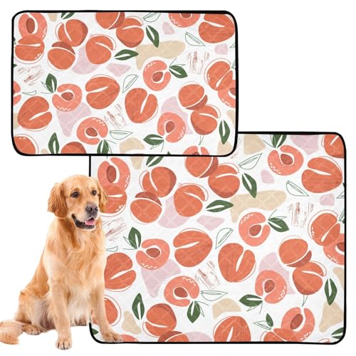 2 Stück Hunde-Urinierteppich, Katzen-Patronen für Indoor-Katzen, rutschfeste Matte für Hunde für Reisen, 61 x 91,4 cm + 91,4 x 106,7 cm, Pfirsiche, Aprikosen, Sommerfrüchte, schön von GuoChe