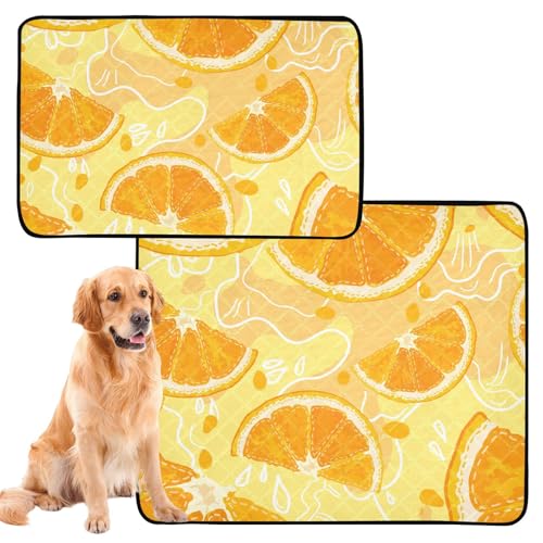 2 x rutschfeste Hundetabletts für den Innenbereich, 61 x 91,4 cm + 91,4 x 106,7 cm, Orangenscheibe von GuoChe