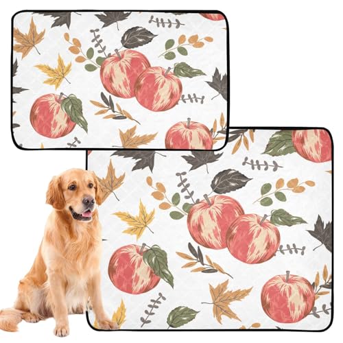 3 Pack Hund Pfütze Teppich Hund Tablett für Pfütze Pads Hund Rutschfest für Innen 20x24 zoll Herbst Rote Äpfel Pflanze Blätter Weiß von GuoChe