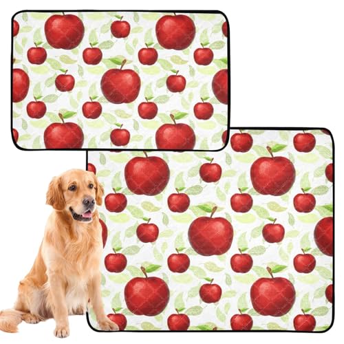 3 Stück Hunde-Urinierteppich, Katzen-Urinier-Pads für Indoor-Katzen, rutschfest, für Strand, 50,8 x 61 cm, Obstäpfel von GuoChe