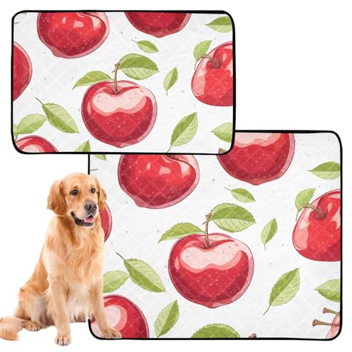 Urinierdecke für Hunde, Teppich für Hunde, schmutzige Füße, waschbar, rutschfeste Bodenmatte für Autositz, 61 x 91,4 cm + 91,4 x 106,7 cm, personalisierbar, Bauernhaus, Vintage, Rot, 2 Stück von GuoChe