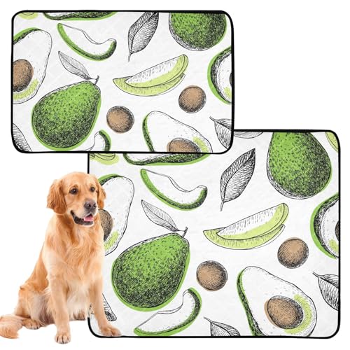 Wasserabsorbierende Matte für Hundenapf, Hundematten, waschbar, rutschfest, Bodenmatte für Auto, 50,8 x 61 cm, Vektor-Avocado, tropische Früchte, 3 Stück von GuoChe