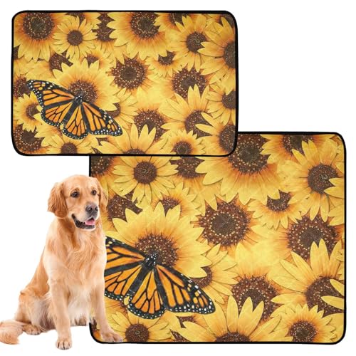 Wasserabsorbierende Matte für Hundenapf, waschbar, rutschfest, Teppich für Sofa, 61 x 91,4 cm + 91,4 x 106,7 cm, Monarch-Schmetterling, Danaus Plexippus, 2 Stück von GuoChe