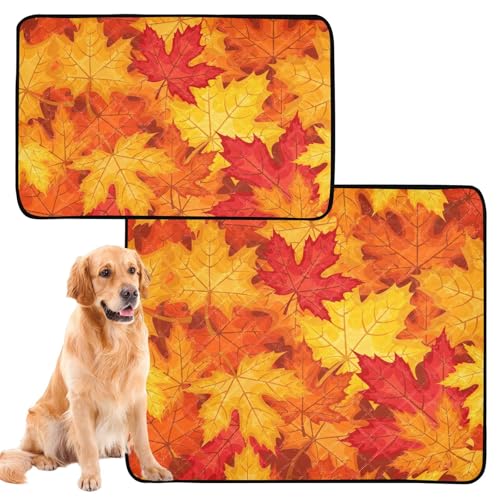 Wasserabsorbierende Matte für Hundenapf, waschbar, rutschfest, für Autositz, 61 x 91,4 cm + 91,4 x 106,7 cm, Herbst-Ahornblätter im Herbst, 2 Stück von GuoChe