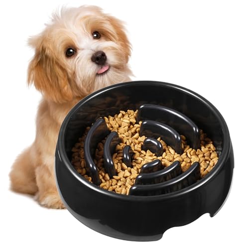 Gupcaqosjw Slow Feeder Hundefutter Napf | Labyrinth Puzzle Futternapf - Rutschfester Interaktiver Anti-Verschluck Napf Für Hunde, Katzen Und Welpen Aller Rassen Gupcaqosjw Slow Feeder Hundefutter Napf | Labyrinth Puzzle Futternapf - Rutschfester Interaktiver Anti-Verschluck Napf Für Hunde, Katzen Und Welpen Aller Rassen von Gupcaqosjw