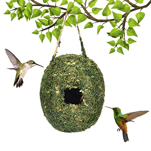 Vogelnest Gras, Vogelnest Kolibri-Haus Für Draußen Aufhängen, Gras Vögel Haus Für Nistkästen, Vogelhaus, Handgewebte Vogelhäuser Für Kleine Vögel Wie Kolibris Und Titten, 12cm X 14cm von Gusengo