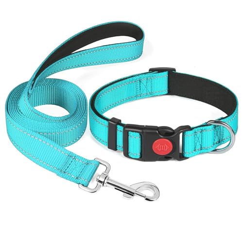 Reflektierendes Hundehalsband – Verstellbares Nylonhalsband, gepolstert mit weichem Neopren, atmungsaktiv und bequem für kleine, mittelgroße und große Hunde von Gusoul