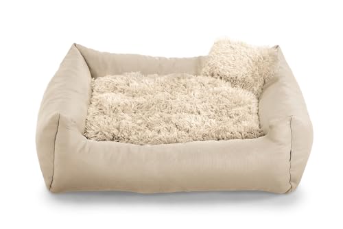 Gutekissen® Hundebett aus weichem Material, gefüllt mit Polyurethanschaum, Plüschkissen, schmutzabweisend, kleines Kissen inklusive. FN (S - 65x55, Creme) von Gutekissen