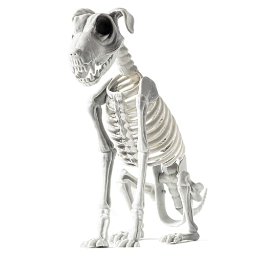 Guvbkfaw Halloween Skelett Hund Hundeskelett Halloween Hundeskelett Statue Sitzendes Hundeskelett Halloween Hund Skelett Deko Mit Scharfen Zähnen Gruselige Skelett Tier Dekoration Für Zuhause 31x44 Cm von Guvbkfaw