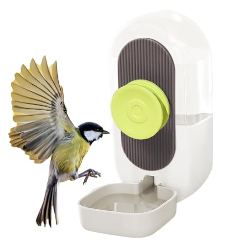 Bird Cage Feeders and Waterers, Clear Automatic Food and Water Dispenser, Convenient Parrot Feeding Station, Sturdy Cage Accessory for Birds, Easy-to-Install Hydration Solution von Gvblkq