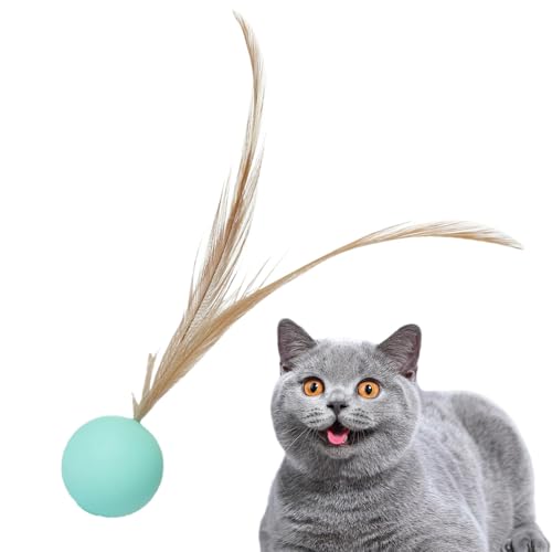 Gvblkq Katzenball Spielzeug Katze Kauball Interaktives Katzenspielzeug Feder Katzenspielzeug Hüpfender Katzenball Elastisches Gummispielzeug Bissfestes Katzenspielzeug Mittelgroßes Katzenspielzeug von Gvblkq