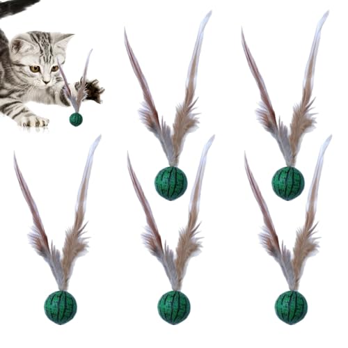 Gvblkq Lightweight Bouncy Ball Cat Toy, 5 Pieces Interactive Indoor Cats, Feather Multifunctional Entertainment Toy for Pets, Cute Play Balls Cat Lovers and Friends, 4.13x0.98 inches (Single) von Gvblkq