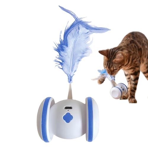 Gvblkq Rechargeable Cat Exercise Toy, Feather Cat Toy, USB Cat Toy for Indoor Cats, Cats Kitten Toys Automatic Cat Toy with Colorful Led Lights Electric Cat Toys Cat Exercise for Pets von Gvblkq