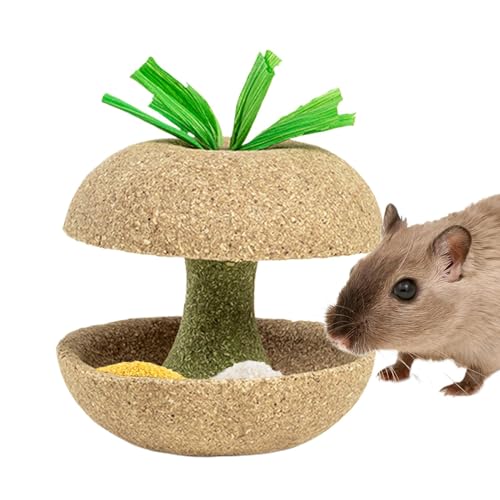 Hamster-Kauspielzeug, Obstförmige Kleintier-Leckerli-Spielzeug, natürliches Hasenspielzeug für Zähne, Chinchillas Kauspielzeug, Hamster-Leckerli-Spielzeug, Rennmäuse, Kauspielzeug, von Gvblkq