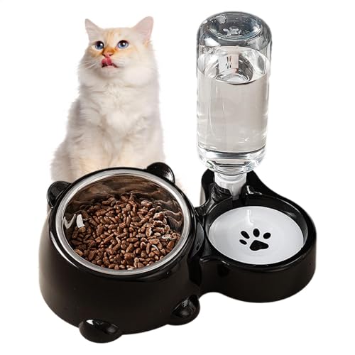 Haustiere Wasser Futternapf Set, Doppel Feeder Spender für Katzen Hunde Geneigte Haustiernäpfe Rutschfeste Basis Futter- und Wasserstation für Kleine bis Mittlere Tiere Erhöhte Fütterungslösung von Gvblkq