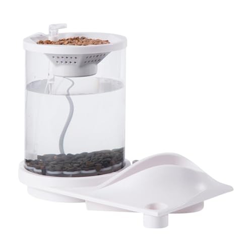 -Reinigung des Betta-Aquariums, leises Aquarium mit Filter, Tisch-Aquarium für zu Hause, Beta-Fische, Tisch-Aquarium mit Filter, Aquaponisches Aquarium, klares Hydrokultur-Pflanzenterrarium für Betta- von Gvblkq