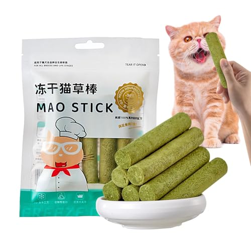Gwtdtoad Gefriergetrocknetes rohes Katzenfutter, Naturgras-Beißstäbchen für Katzen, Katzenspielzeug zur sanften Haarballenentfernung, Zahnreinigungs-Katzengras-Stick, Katzenfutter für kleine, Gwtdtoad Gefriergetrocknetes rohes Katzenfutter, Naturgras-Beißstäbchen für Katzen, Katzenspielzeug zur sanften Haarballenentfernung, Zahnreinigungs-Katzengras-Stick, Katzenfutter für kleine, von Gwtdtoad