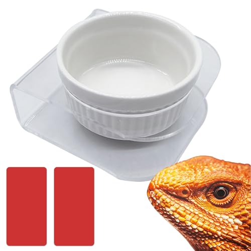 GXSDJ Pasteable Reptile Feeding Ledge,Acrylic Gecko Feeder Ledge with 1PCS Ceramic Cups,Reptile Food Water Bowl for Bearded Dragon Eidechse Snake, Reptile Terrarium Tank Accessories von Gxsdj