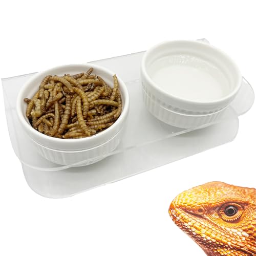 GXSDJ Pasteable Reptile Feeding Ledge,Acrylic Gecko Feeder Ledge with 2PCS Ceramic Cups,Reptile Food Water Bowl for Bearded Dragon Eidechse Snake, Reptile Terrarium Tank Accessories von Gxsdj