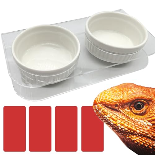 GXSDJ Pasteable Reptile Feeding Ledge,Acrylic Gecko Feeder Ledge with 2PCS Ceramic Cups,Reptile Food Water Bowl for Bearded Dragon Eidechse Snake, Reptile Terrarium Tank Accessories von Gxsdj