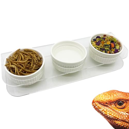 GXSDJ Pasteable Reptile Feeding Ledge,Acrylic Gecko Feeder Ledge with 3PCS Ceramic Cups,Reptile Food Water Bowl for Bearded Dragon Eidechse Snake, Reptile Terrarium Tank Accessories von Gxsdj