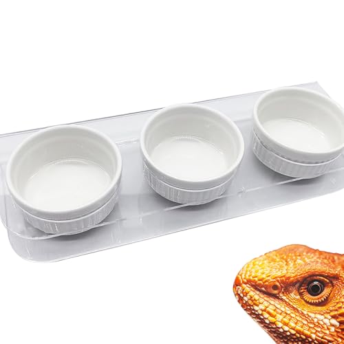 GXSDJ Pasteable Reptile Feeding Ledge,Acrylic Gecko Feeder Ledge with 3PCS Ceramic Cups,Reptile Food Water Bowl for Bearded Dragon Eidechse Snake, Reptile Terrarium Tank Accessories von Gxsdj