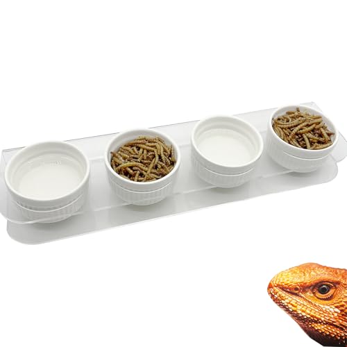 GXSDJ Pasteable Reptile Feeding Ledge,Acrylic Gecko Feeder Ledge with 4PCS Ceramic Cups,Reptile Food Water Bowl for Bearded Dragon Eidechse Snake, Reptile Terrarium Tank Accessories von Gxsdj