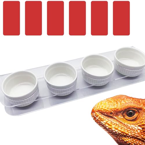 GXSDJ Pasteable Reptile Feeding Ledge,Acrylic Gecko Feeder Ledge with 4PCS Ceramic Cups,Reptile Food Water Bowl for Bearded Dragon Eidechse Snake, Reptile Terrarium Tank Accessories von Gxsdj