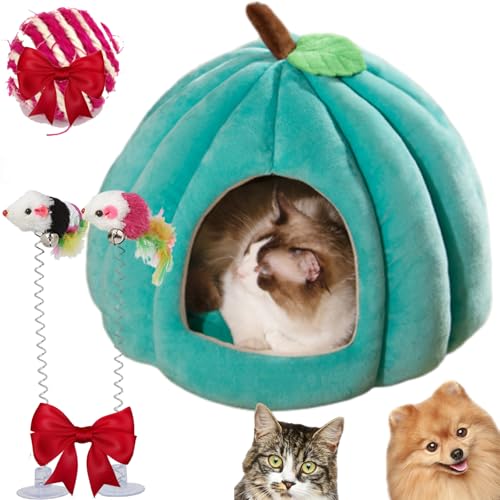 Kürbis-Katzenbett, Katzenbett für Hauskatzen, niedliches Halloween-Katzenbett, niedliches Kürbis-Stil, Katzenhöhle, Katzenhaus (Pfauenblau, Größe L (56 x 56 x 43 cm) von Gyagalre