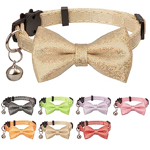 Gyapet Katzenhalsband mit Fliege, glitzernde Katzen, Kätzchen, Glocke, Party, glitzernd, Hochzeit, 17,8–27,9 cm, für Mädchen und Jungen, einfarbig, Champagner von Gyapet