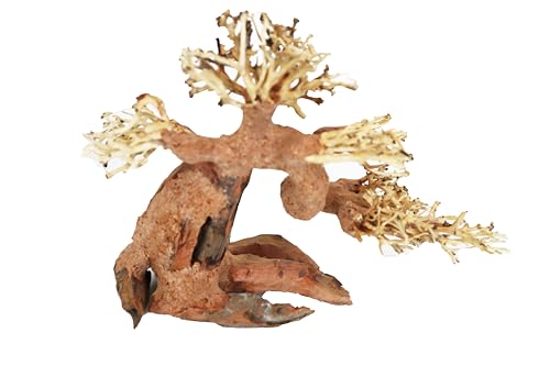 H2Pro Bonsai-Holz M, handgefertigt, Dekoration für Aquarien (30 x 23 x 17 cm) von H2PRO