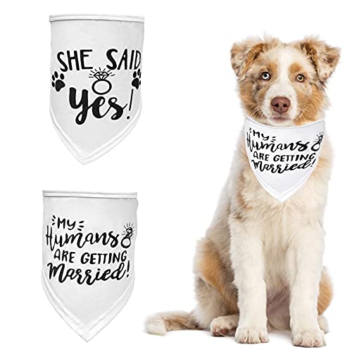 HACRAHO Hunde-Hochzeits-Bandana, 2 Stück, My Humans Are Getting Married Bandana She Said Yes, Hundehalstuch, Dreiecks-Lätzchen, Schal für Hochzeit für kleine, mittelgroße und große Hunde, Weiß von HACRAHO