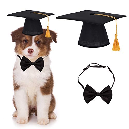 HACRAHO Pet Dog Graduation Hats, 2 Stück Hund Graduation Hut und Fliege Krawatte Halsband Haustier Graduation Caps mit gelber Quaste für Hunde Katzen von HACRAHO