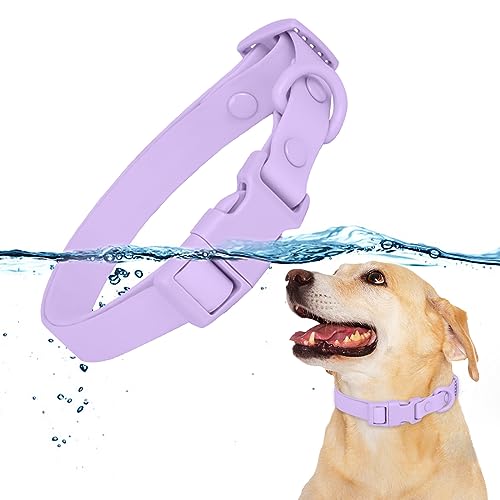 HACRAHO Wasserdichtes Hundehalsband, 1 Packung lila, verstellbares Haustierhalsband zum Spazierengehen, Laufen, bequemes gummiertes Gurtband für mittelgroße und kleine Hunde, Größe L von HACRAHO