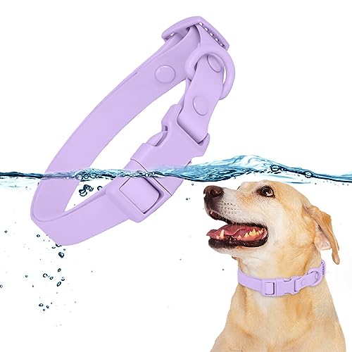 HACRAHO Wasserdichtes Hundehalsband, Lila, verstellbares Haustierhalsband zum Spazierengehen, Laufen, bequemes gummiertes Gurtband für mittelgroße und kleine Hunde, Größe M von HACRAHO