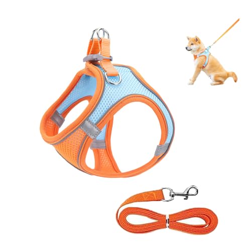 Welpen-hundegeschirr Und Leine, Für Kleine Hunde Und Katzen, Hundespaziergang Weste Leine Reflektierend, Weiches Mesh Atmungsaktiv Hundeweste Geschirr, Für Outdoor-Spaziergang Training (XS) von HADAVAKA